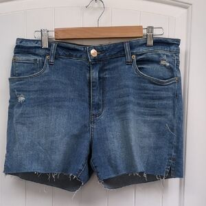 sts Cutoff Denim Shorts